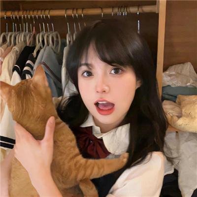 鸽